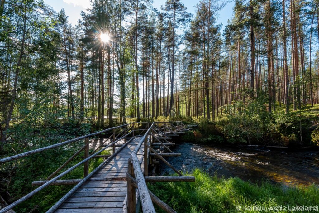 Holzbrücke über ein Fluss im Wald